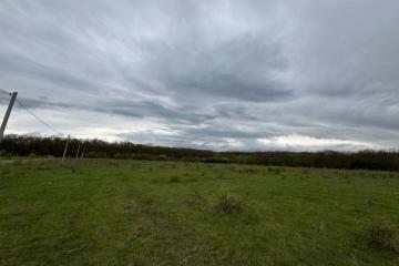 Фото №2: Коммерция 196 м² - Красноармейский, ул. Ворошилова, 16