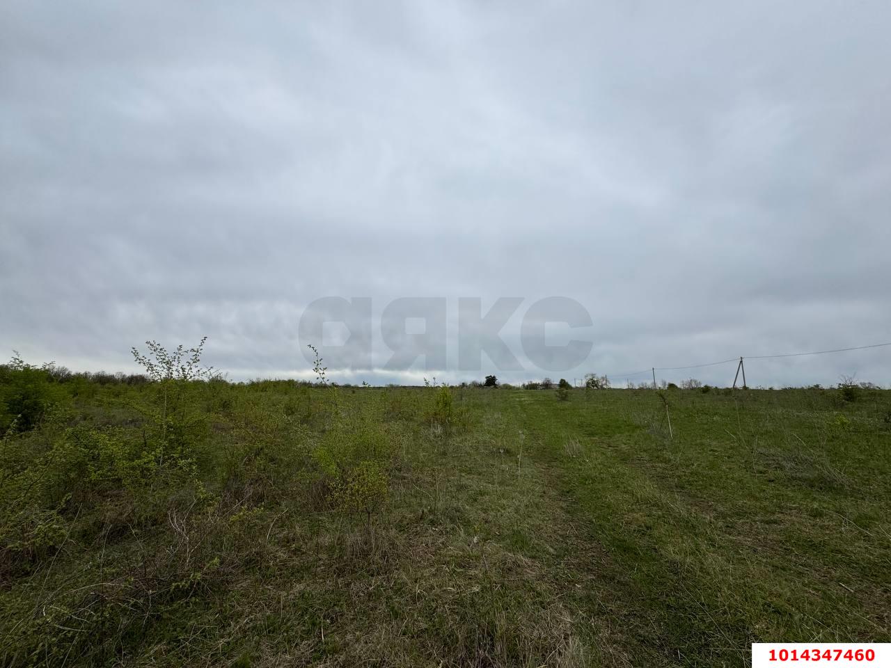Фото №3: Коммерческая земля 115 сот. - Республика Адыгея (Адыгея) Тахтамукайский район