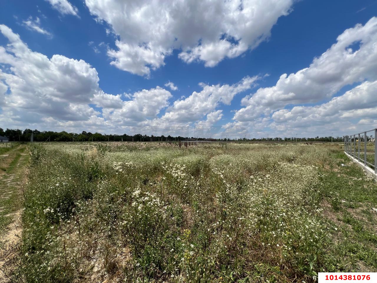 Фото №1: Земельный участок 5 сот. - Новотитаровская, ул. Тимирязева, 4