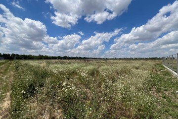 Фото №1: Земельный участок под ИЖС 5 сот. - Новотитаровская, ул. Тимирязева, 4