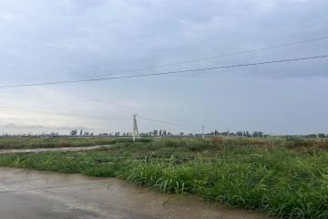 Фото №4: Земельный участок 5.8 сот. - садовые участки Лесное, ул. Аэродромная, 54