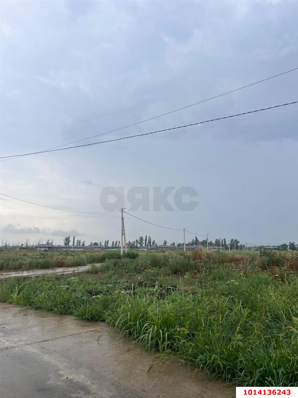 Фото №4: Участок садоводство 5.8 сот. - садовые участки Лесное, ул. Аэродромная, 54