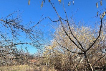 Фото №2: Участок садоводство 6 сот. - Лотос, мкр. Прикубанский внутригородской округ, ул. Ромашковая, 325