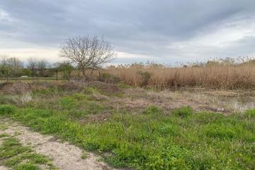 Фото №3: Земельный участок 7.3 сот. - Пластуновская, ул. Пушкина, 2