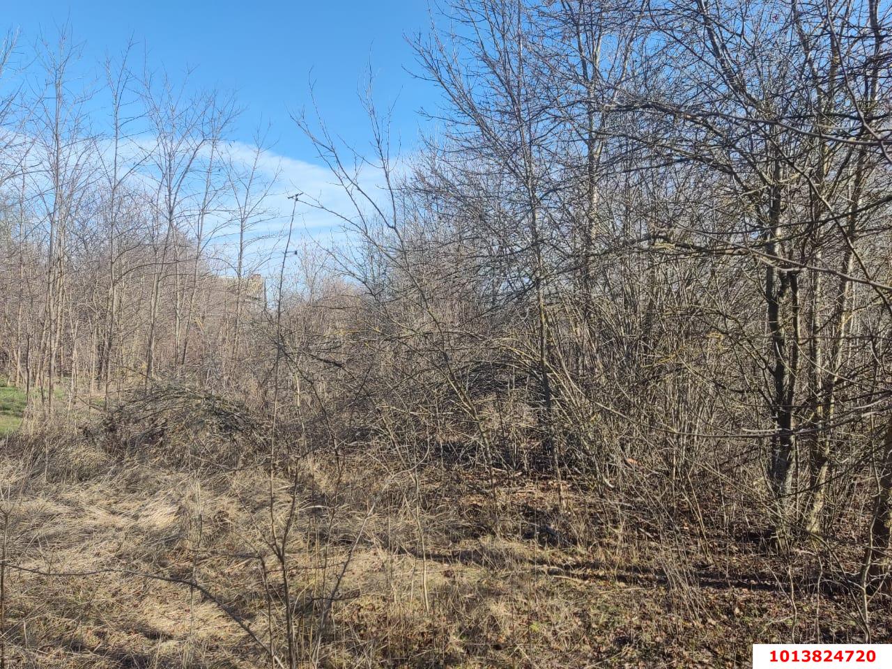 Фото №3: Земельный участок 15 сот. - Копанской, мкр. Прикубанский внутригородской округ, ул. Красные Зори, 53