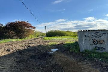 Фото №3: Земельный участок 6 сот. - Елизаветинская, ст Нива, ул. Виноградная, 541