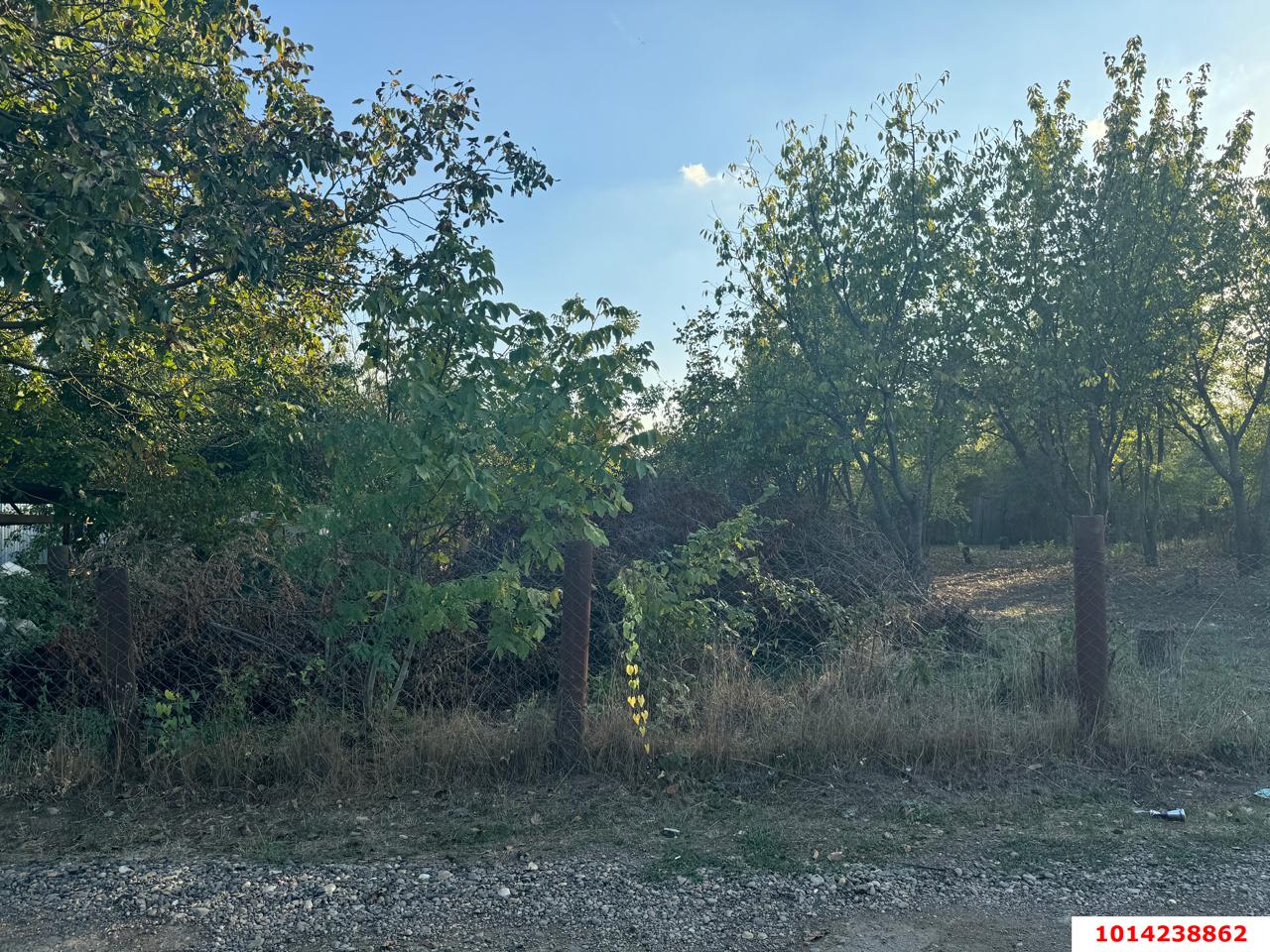 Фото №6: Земельный участок 5.9 сот. - Лотос, мкр. Прикубанский внутригородской округ, ул. Абрикосовая