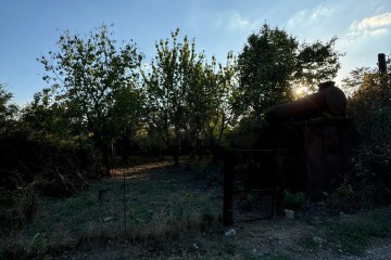 Фото №4: Участок садоводство 5.9 сот. - Лотос, мкр. Прикубанский внутригородской округ, ул. Абрикосовая