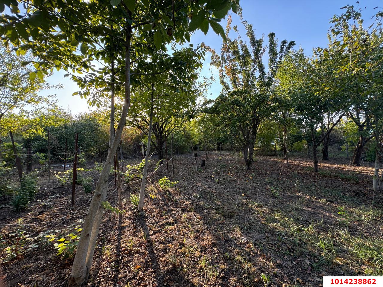 Фото №14: Участок садоводство 5.9 сот. - Лотос, Прикубанский внутригородской округ, ул. Абрикосовая