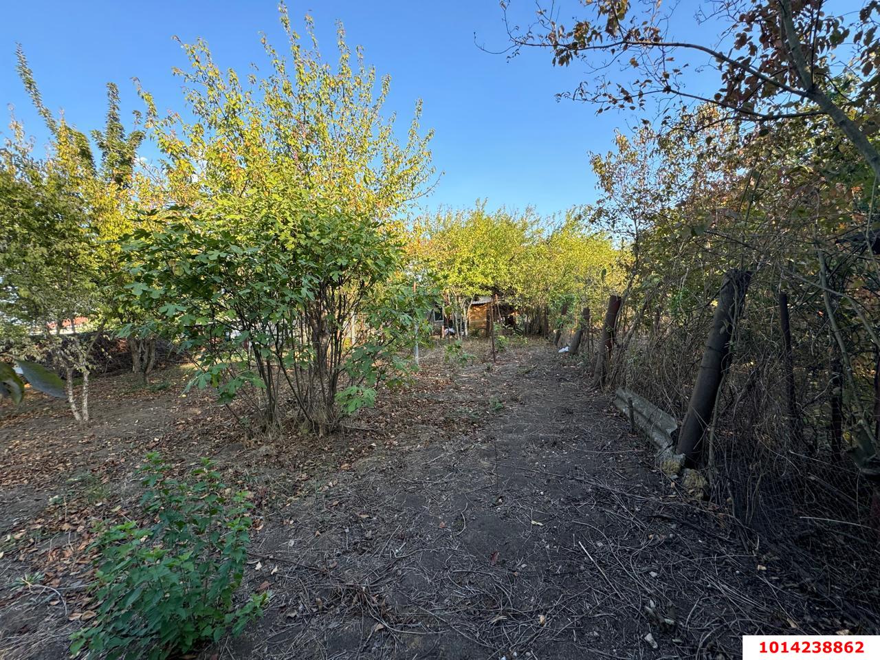 Фото №17: Земельный участок 5.9 сот. - Лотос, мкр. Прикубанский внутригородской округ, ул. Абрикосовая