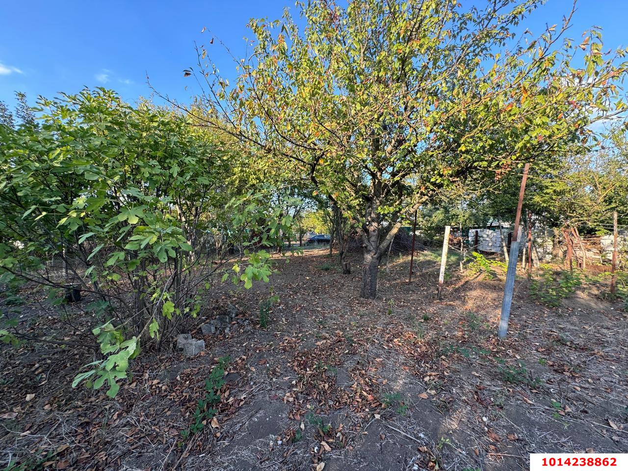 Фото №18: Земельный участок 5.9 сот. - Лотос, мкр. Прикубанский внутригородской округ, ул. Абрикосовая