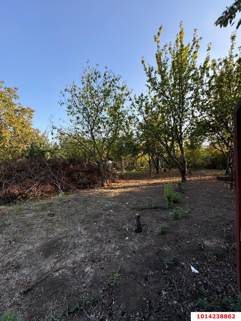 Фото №10: Участок садоводство 5.9 сот. - Лотос, Прикубанский внутригородской округ, ул. Абрикосовая