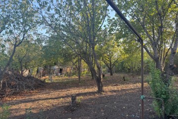 Фото №2: Участок садоводство 5.9 сот. - Лотос, мкр. Прикубанский внутригородской округ, ул. Абрикосовая