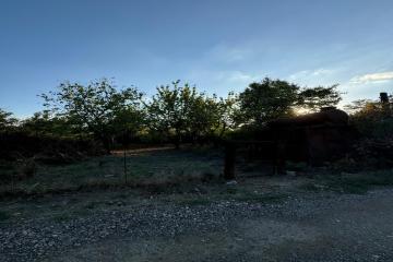 Фото №4: Земельный участок 5.9 сот. - Лотос, мкр. Прикубанский внутригородской округ, ул. Абрикосовая