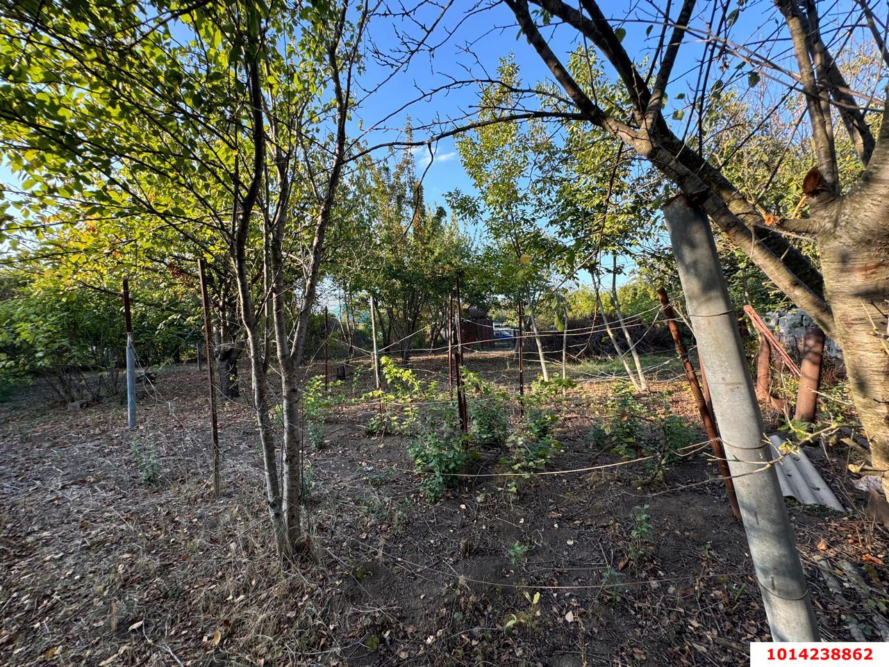 Фото №16: Земельный участок 5.9 сот. - Лотос, мкр. Прикубанский внутригородской округ, ул. Абрикосовая