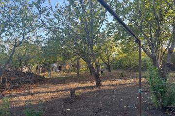 Фото №2: Земельный участок 5.9 сот. - Лотос, мкр. Прикубанский внутригородской округ, ул. Абрикосовая