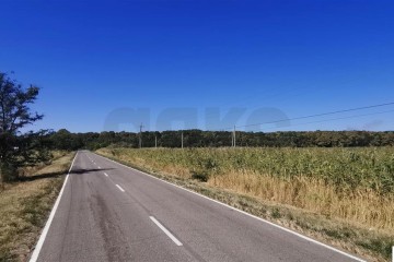 Фото №4: Коммерческая земля 100 сот. - Отрадный, ул. Павлова, 19