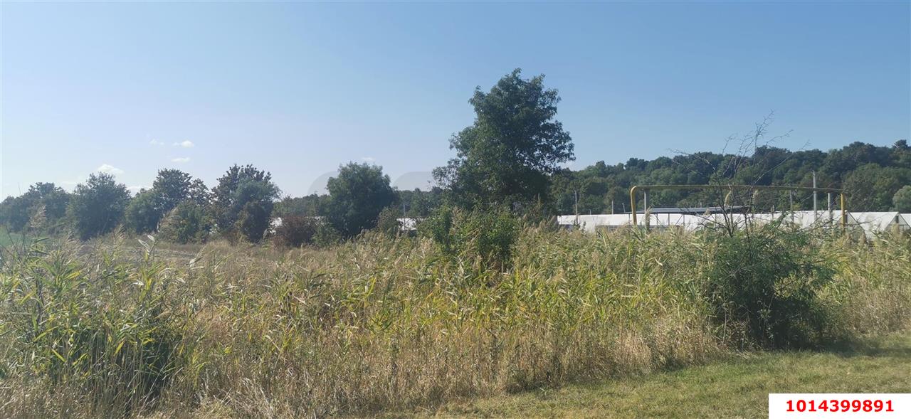 Фото №5: Коммерческая земля 100 сот. - Отрадный, ул. Павлова, 19