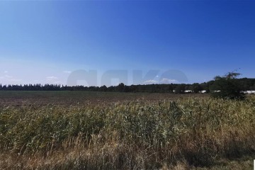 Фото №1: Коммерческая земля 100 сот. - Отрадный, ул. Павлова, 19