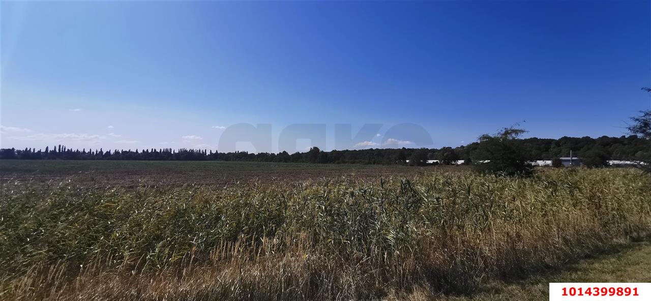 Фото №1: Коммерческая земля 100 сот. - Отрадный, ул. Павлова, 19