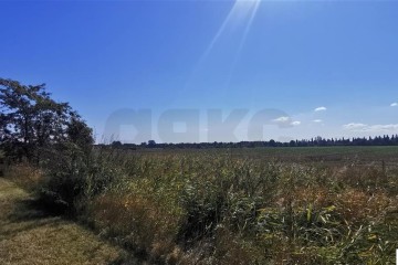 Фото №2: Коммерческая земля 100 сот. - Отрадный, ул. Павлова, 19