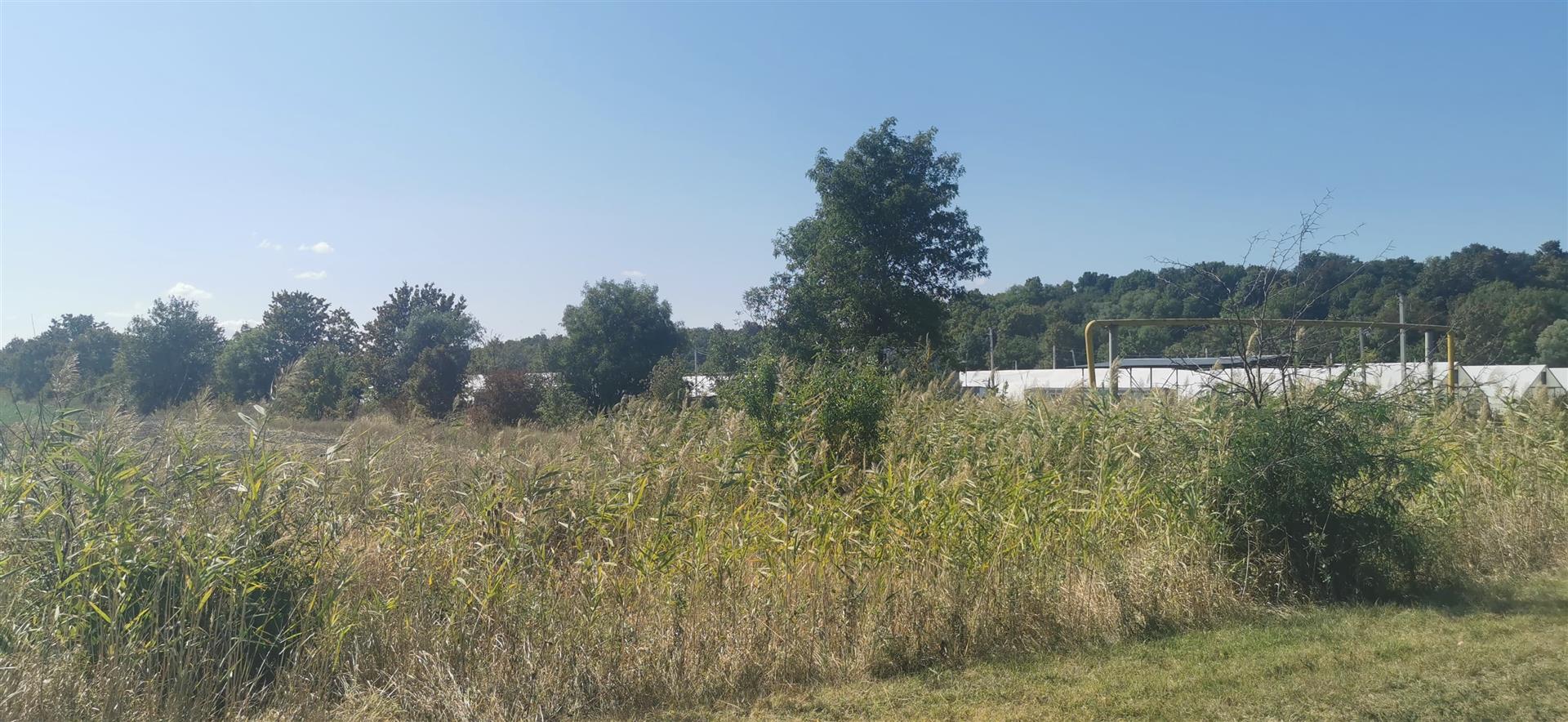 Фото №5: Коммерция 100 м² - Отрадный, ул. Павлова, 19