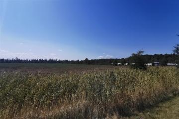 Фото №1: Коммерция 100 м² - Отрадный, ул. Павлова, 19