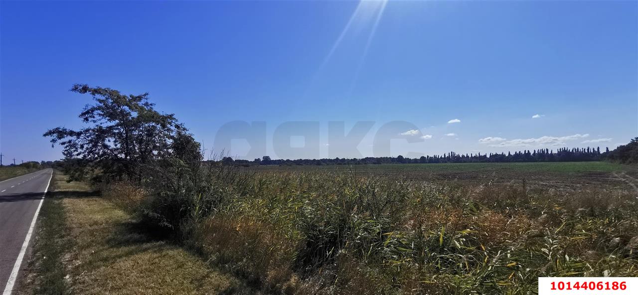 Фото №2: Коммерческая земля 100 сот. - Отрадный, ул. Павлова, 19