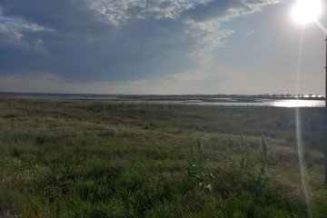 Фото №3: Коммерческая земля 100 сот. - Межводное, ул. Черноморское шоссе, 103Б