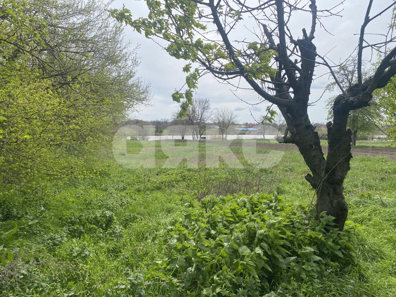 Фото №15: Дом 112 м² + 25 сот. - Раздольная, ул. Щорса, 67