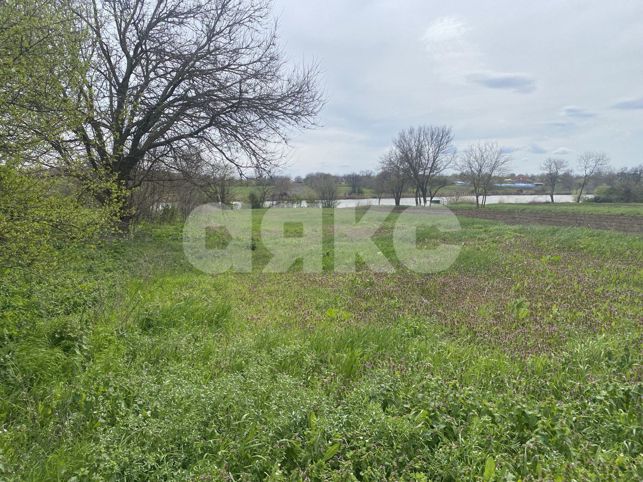Фото №14: Дом 112 м² + 25 сот. - Раздольная, ул. Щорса, 67