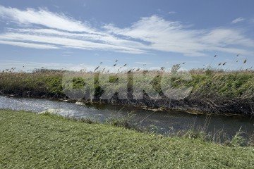 Фото №5: Личное подсобное хозяйство - Братковское, ул. Степная, 46
