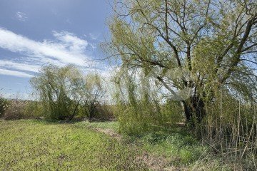 Фото №4: Личное подсобное хозяйство - Братковское, ул. Степная, 46