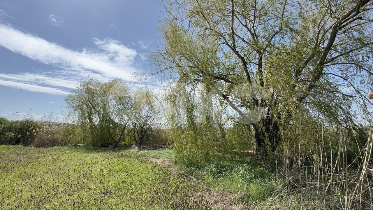 Фото №4: Личное подсобное хозяйство 30 сот. - Братковское, ул. Степная, 46