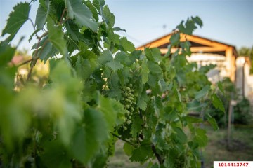 Фото №2: Участок садоводство 8 сот. - Октябрьский, ст Луч, ул. Вишнёвая, 129