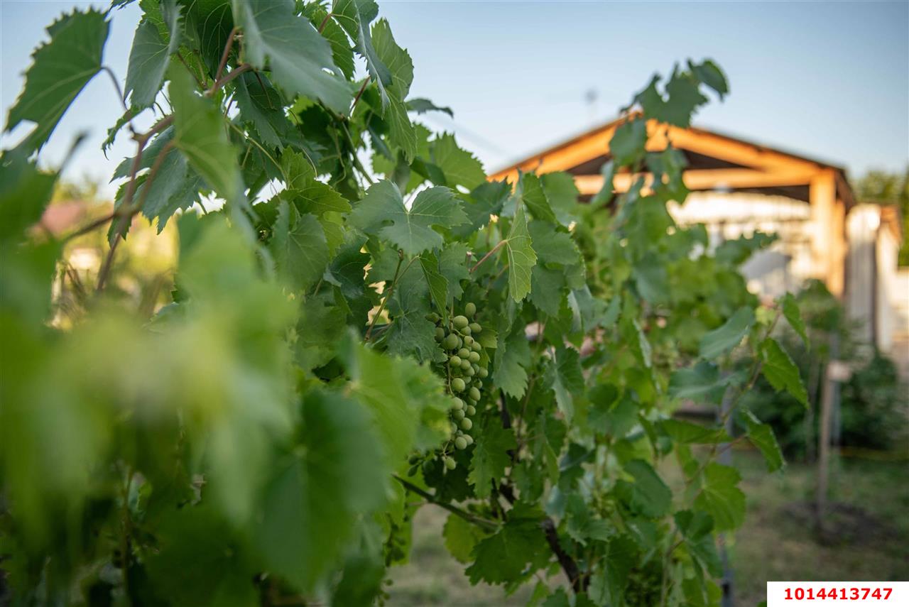 Фото №2: Участок садоводство 8 сот. - Октябрьский, Луч, ул. Вишнёвая, 129