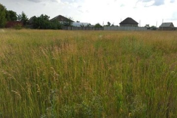 Фото №4: Земельный участок под ИЖС 11.5 сот. - Полтавка, ул. Таврическая, 8