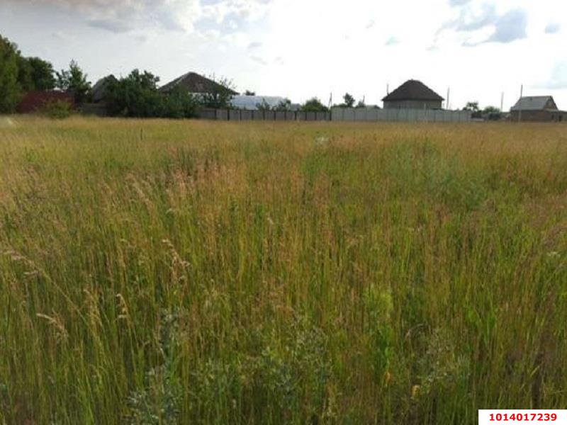 Фото №4: Земельный участок под ИЖС 11.5 сот. - Полтавка, ул. Таврическая, 8