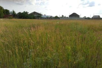 Фото №4: Земельный участок 11.5 сот. - Полтавка, ул. Таврическая, 8