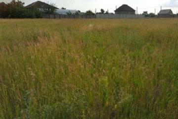 Фото №3: Земельный участок 11.5 сот. - Полтавка, ул. Таврическая, 8