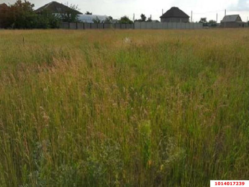 Фото №3: Земельный участок 11.5 сот. - Полтавка, ул. Таврическая, 8