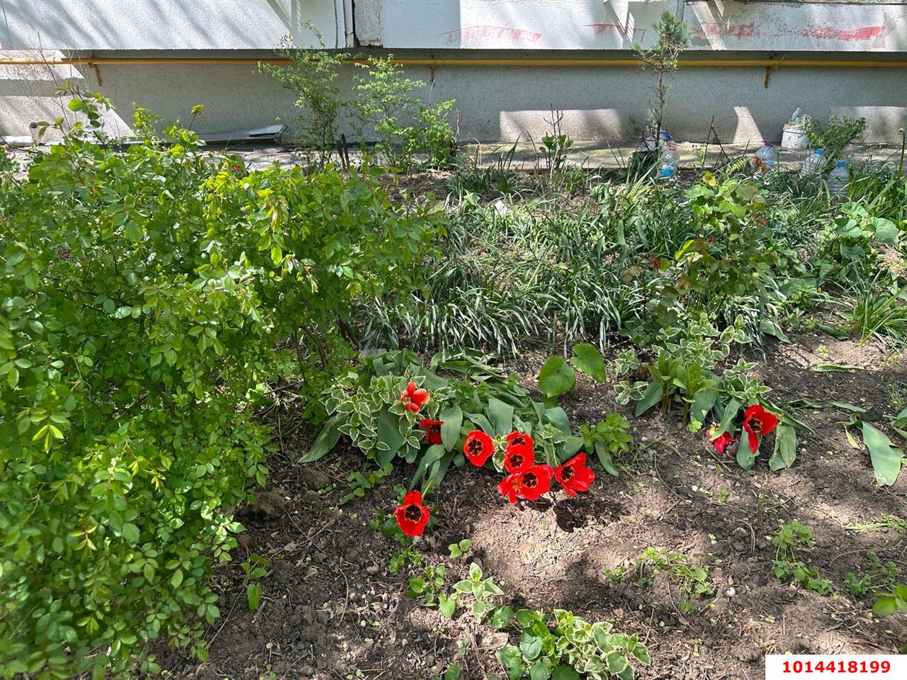 Фото №18: 1-комнатная квартира 29 м² - Краснодар, Гидростроителей, ул. имени Игнатова, 61