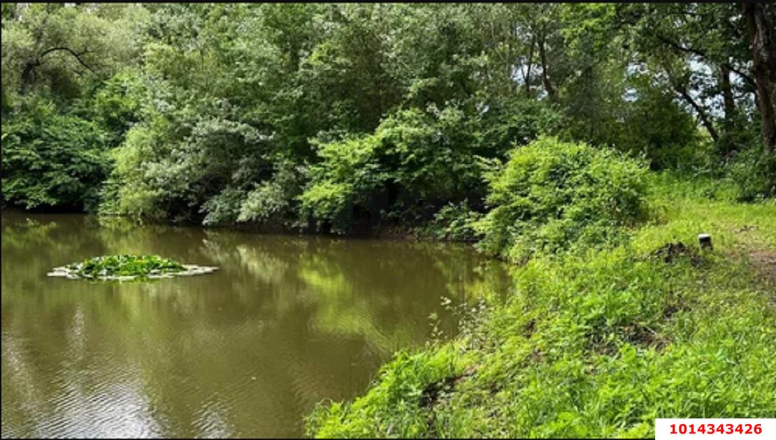 Фото №6: Земельный участок под ИЖС 6 сот. - Калужская