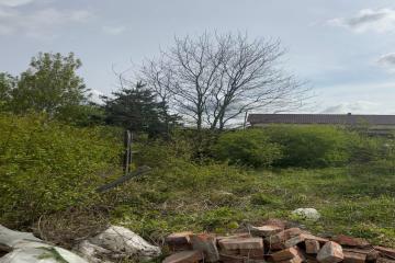 Фото №3: Земельный участок 6 сот. - Усадьба, 