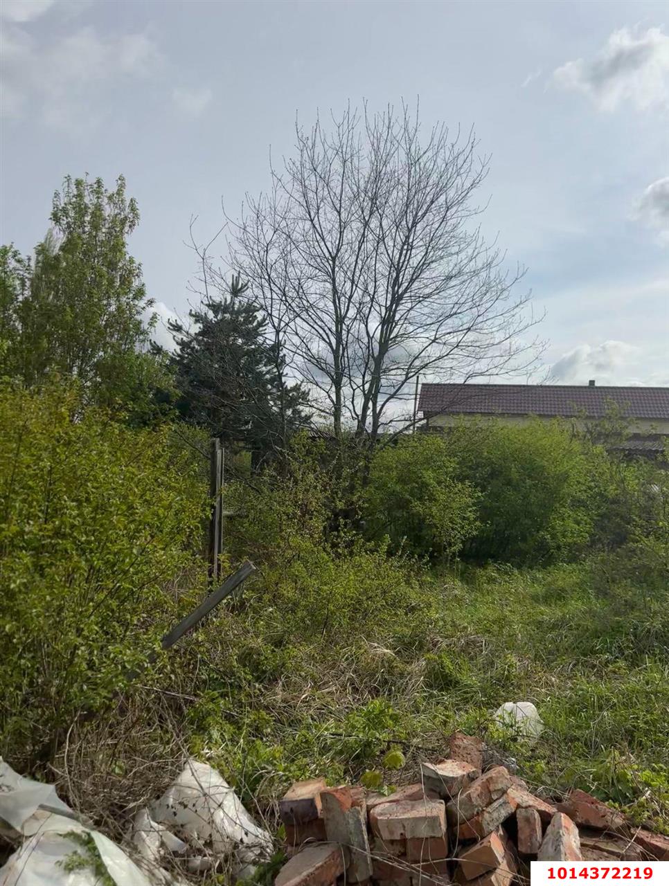 Фото №3: Личное подсобное хозяйство - Усадьба