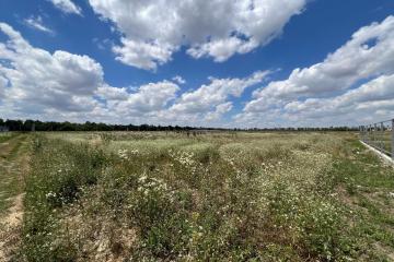 Фото №2: Земельный участок 6.25 сот. - Нововеличковская, п. коттеджный  Солнечная долина, ул. Кристальная