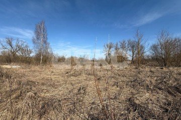 Фото №5: Земельный участок под ИЖС - Крюково (Торховский сельский округ), мкр. Пролетарский территориальный округ, 100