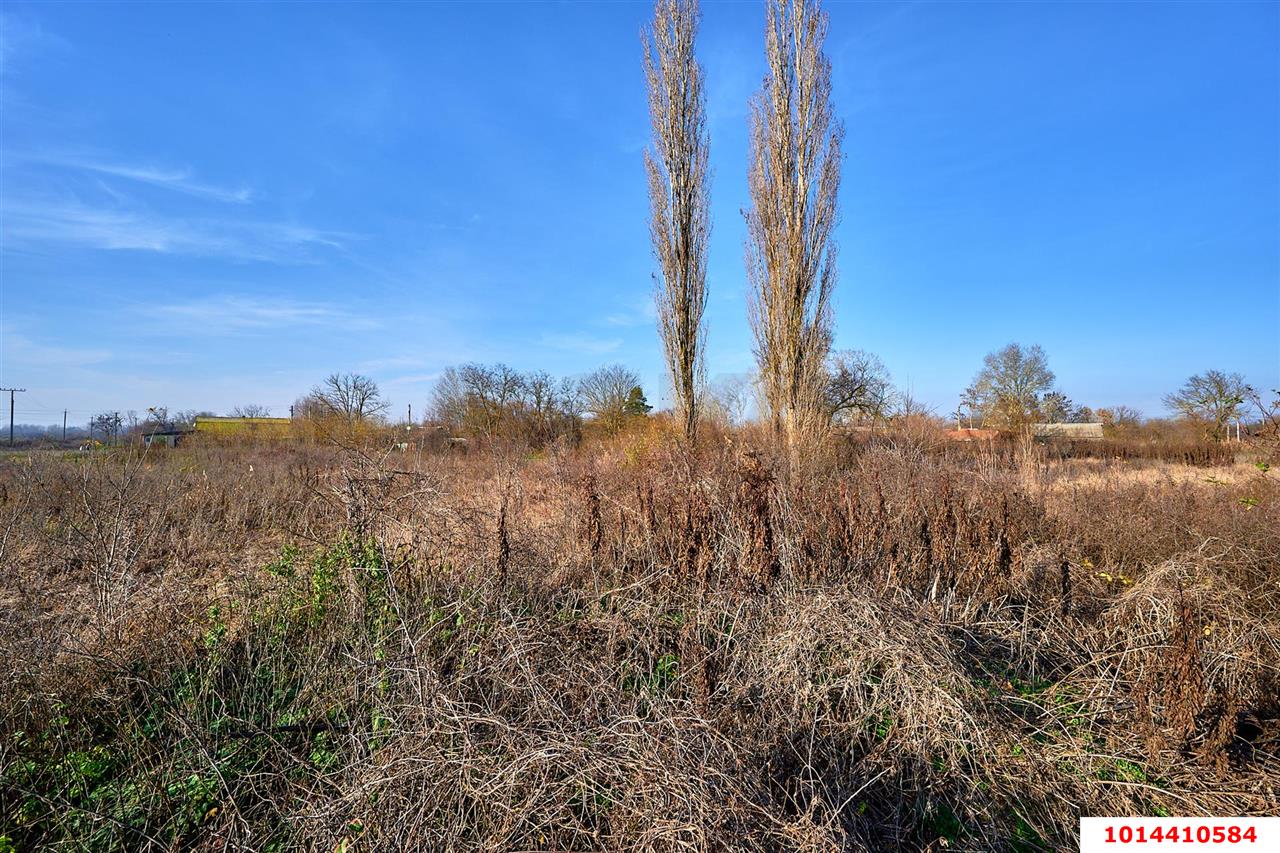 Фото №14: Земельный участок под ИЖС 28 сот. - Мингрельская, ул. Добролюбова, 12