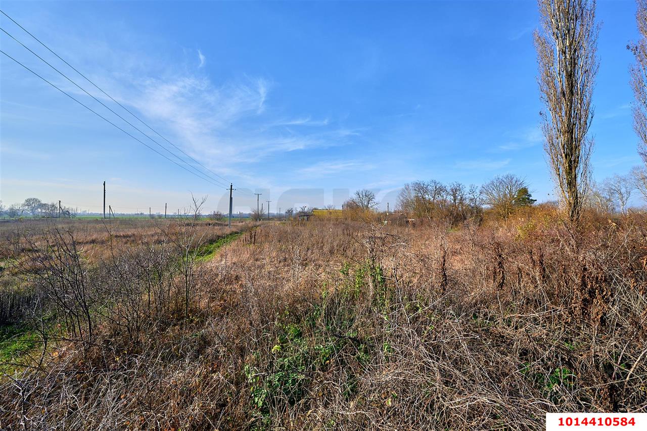 Фото №13: Земельный участок под ИЖС - Мингрельская, ул. Добролюбова, 12