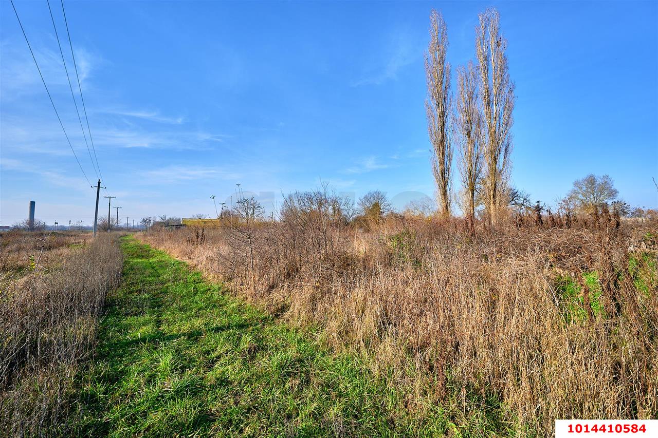Фото №12: Земельный участок под ИЖС - Мингрельская, ул. Добролюбова, 12
